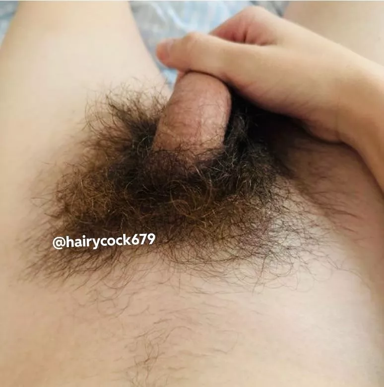 No Shave November Nudes Insanelyhairymen Nude Pics Org