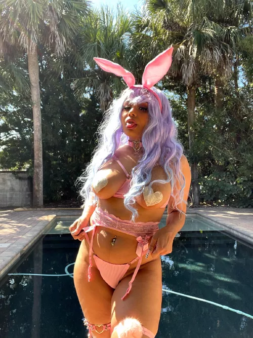 🐰🐰