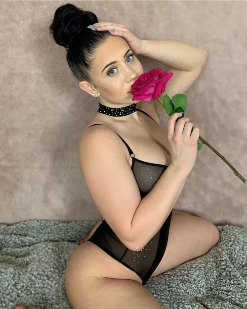 🌹🌹🌹🌹🌹🌹