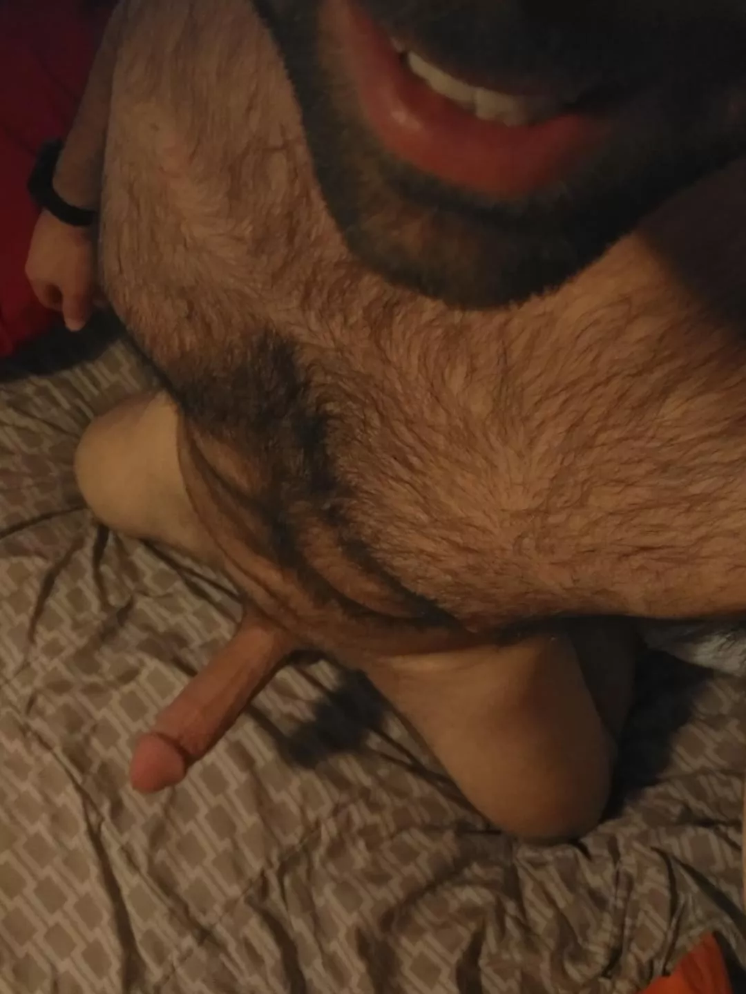 🌈🏳️‍🌈🐻