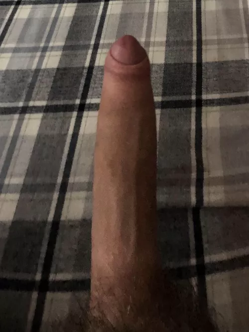 [18] horny and bored looking to chat, shoot me a chat if you want to talk or get pics