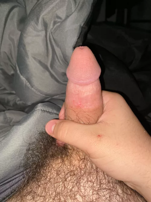 [18] it’s hard for ya ;) send me a dm!