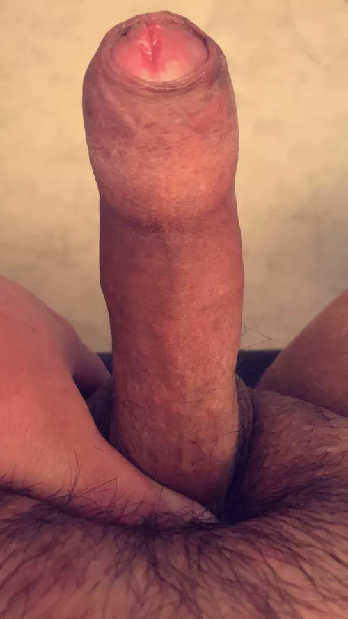 21 bi vers needing to bang some tight 🍑 rough n deep