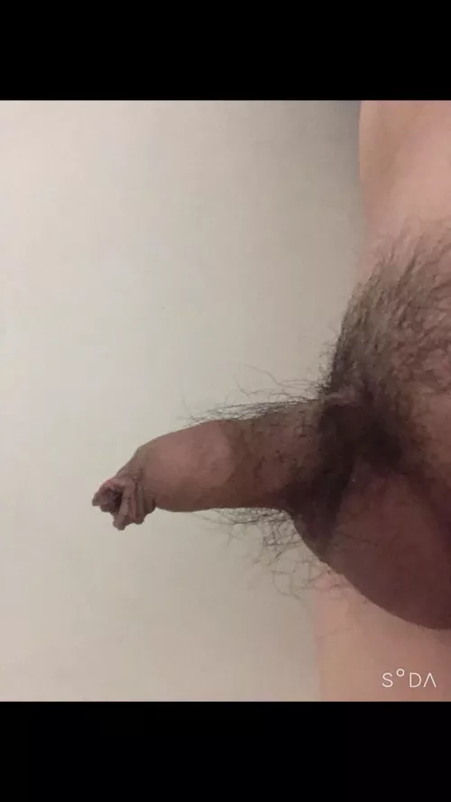 (22) tiny Korean dick