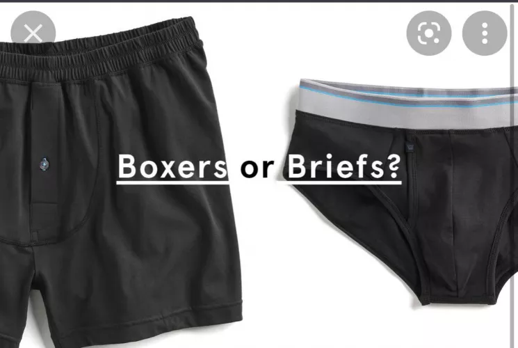 22m brief wearing looking for an informative chat with a boxer wearer. DM me