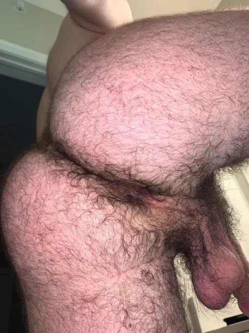 24 in shape bottom bro with a big furry ass. 😏 DM me