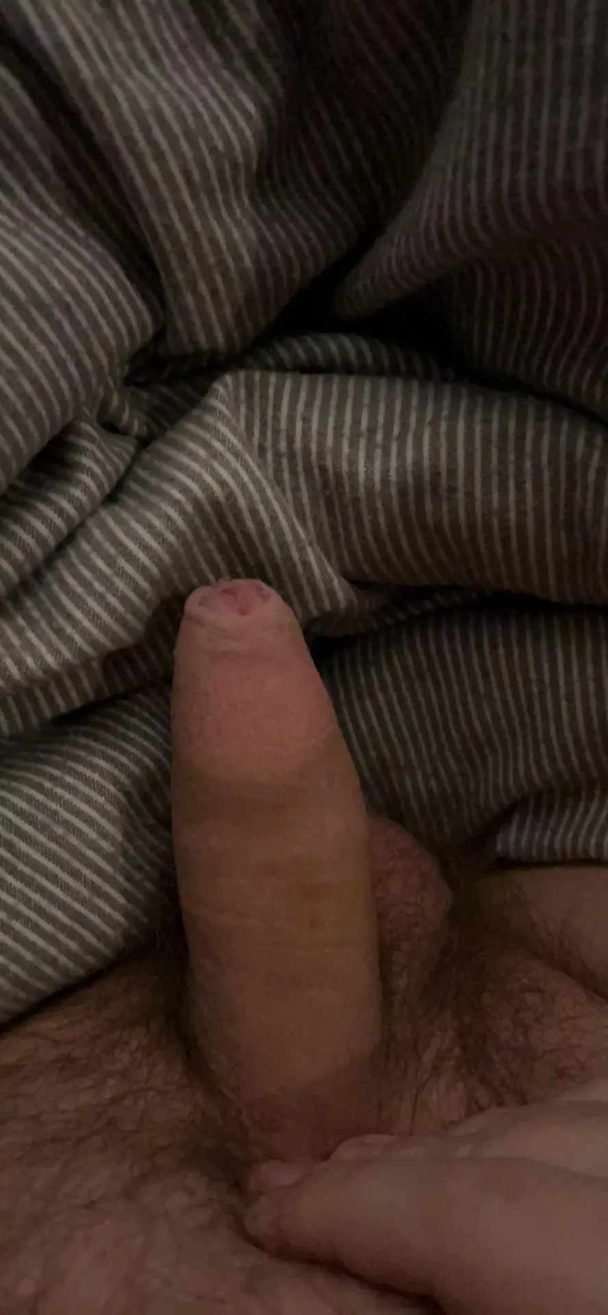 [24] wanna jerk off with me?