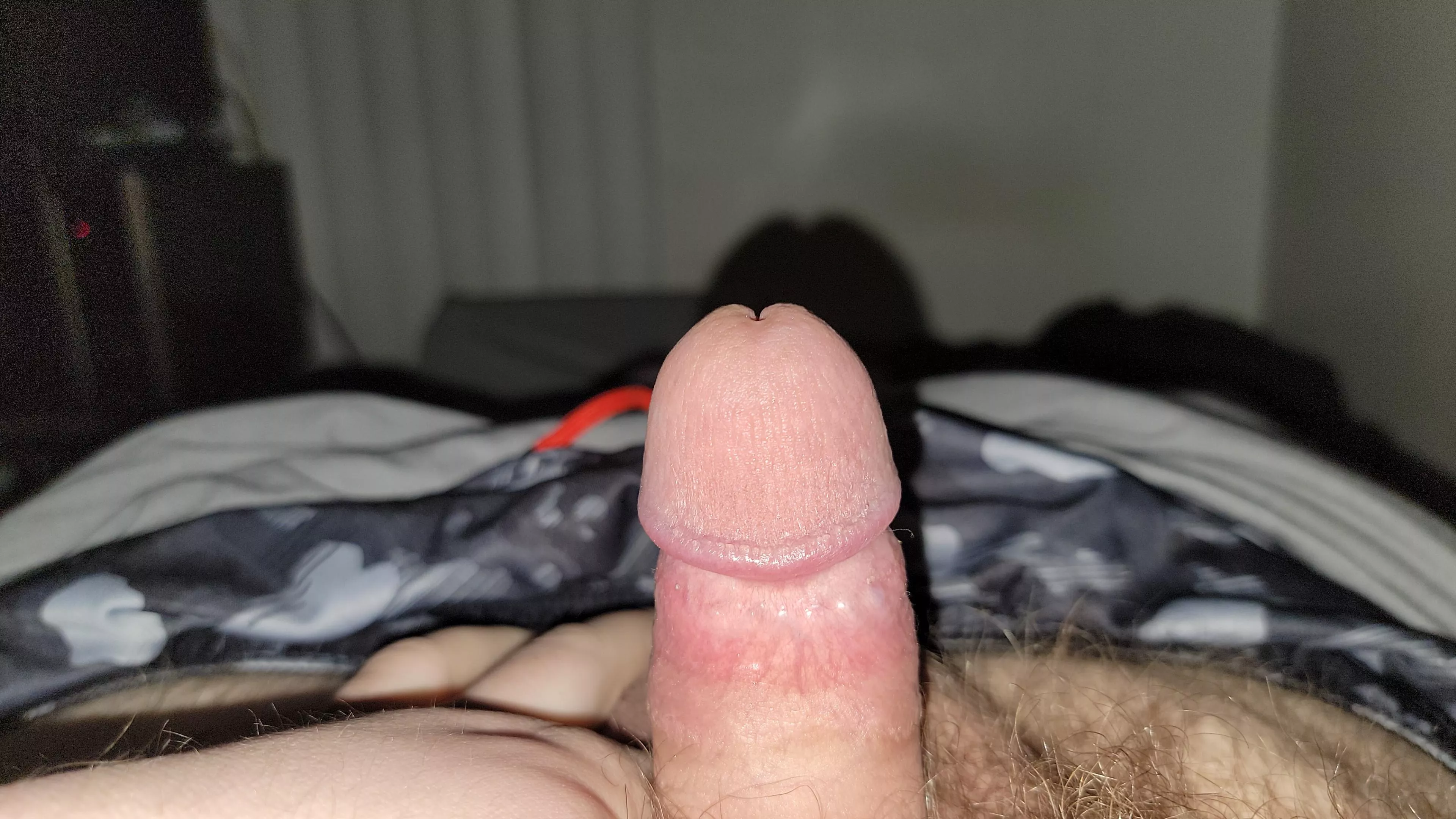 (27) lil 3 inch guy would love to top or dom someone 😉