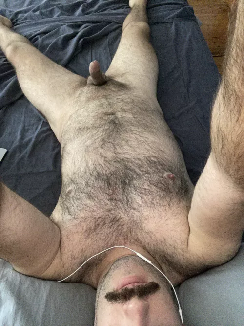 30 Aussie bi bear stuck in iso, tell me what you think! PMs are open