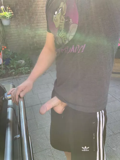 (30s) How does boners, beers and barbecue sound for the day bro?