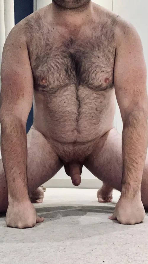 [31] how would I look collared and leashed living as your pet?