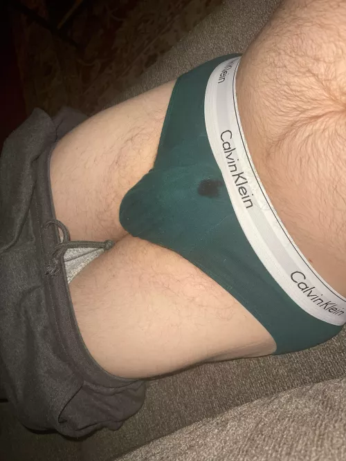 32; Briefs; Ignore the Pre 😊