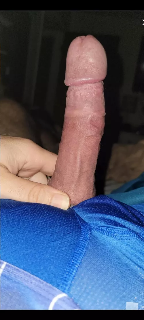 [34] Morning wood