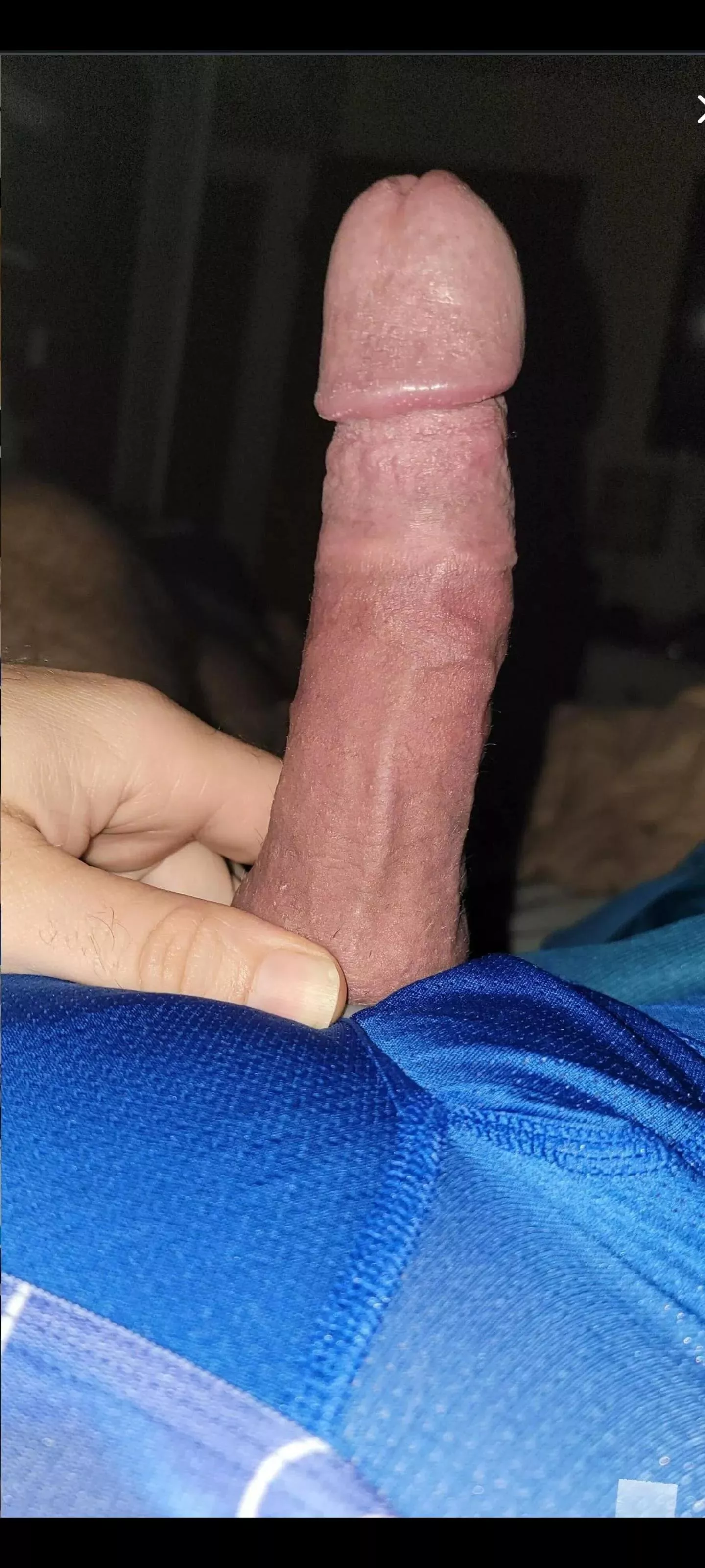[34] Morning wood