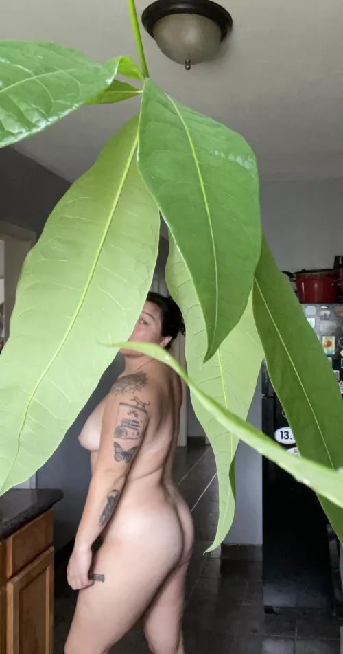 34F, 200 lbs, 5’5”