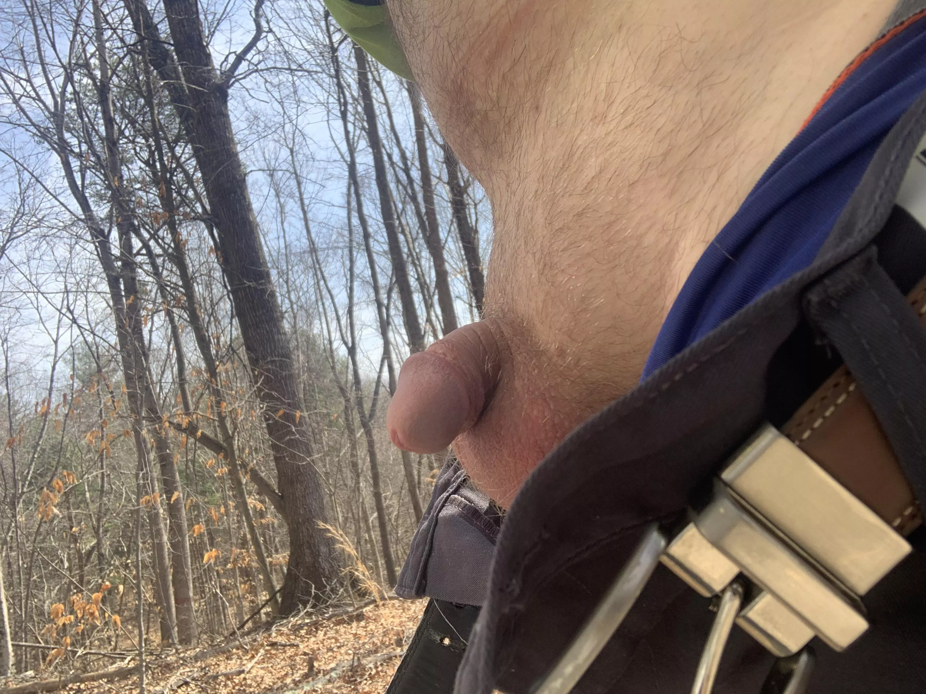 [35] Out for a “little” walk in the woods.