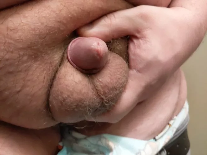 [35] so tiny, much fatty