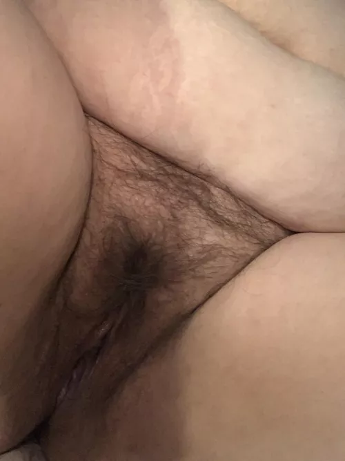 4 months worth of growth as of tomorrow would you eat my hairy kitty