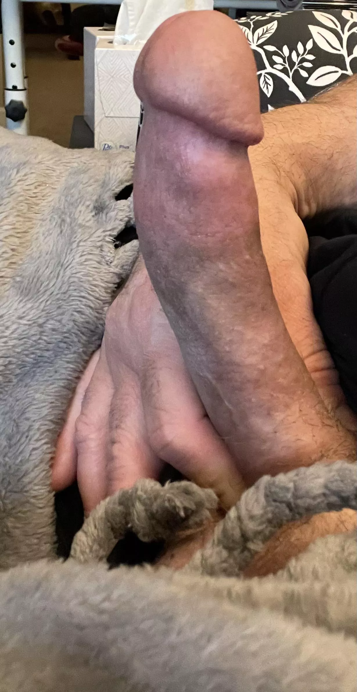 [42] I’m so hard right now. Does anyone want to take care of this?