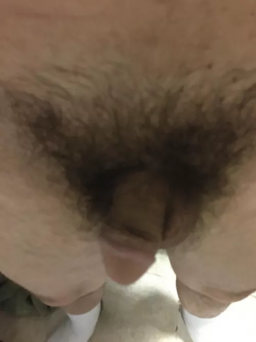 [45]. Ready to chat dms open