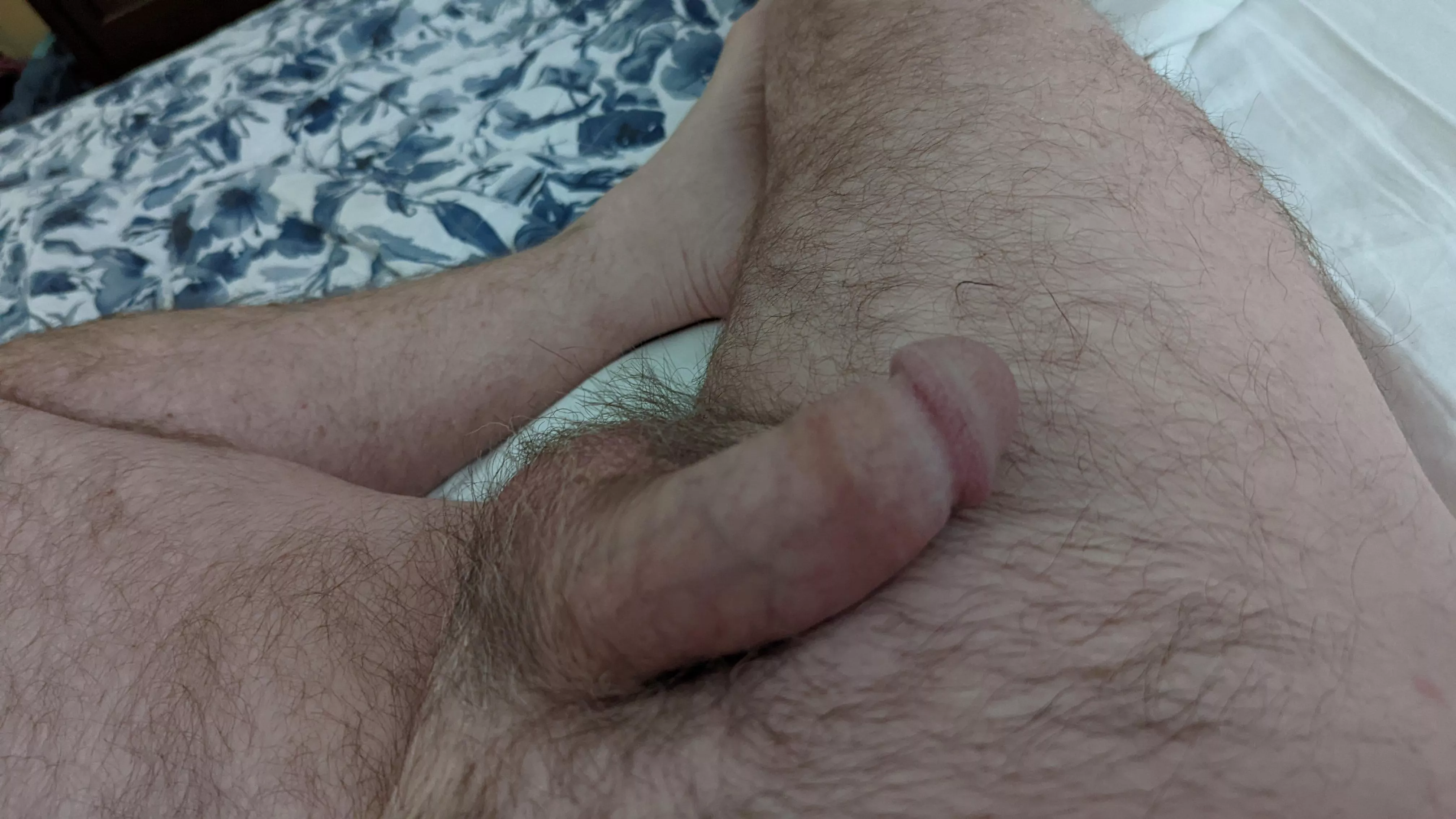 56 home alone could used a hand 56 home alone could used a hand