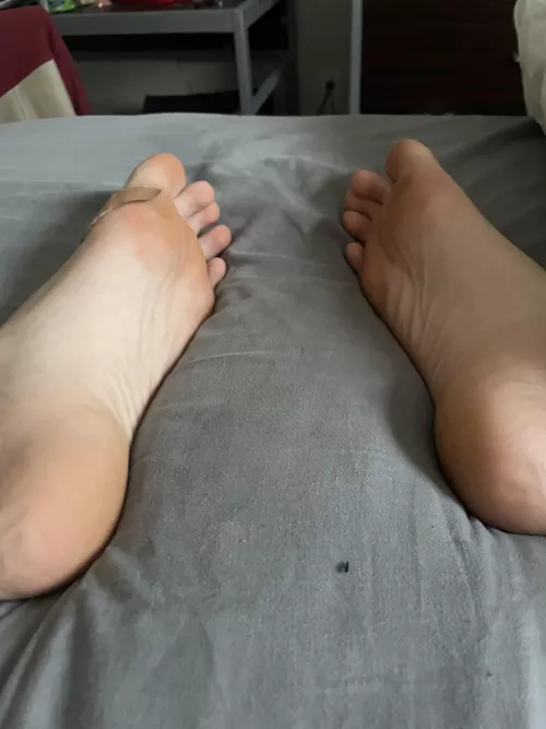 6’3 8” hs football player Hmu if ur a freaky disgusting pig with no limits I want the freakiest most brainless slaves. Hmu if u are disgusting and will do whatever ur god wants