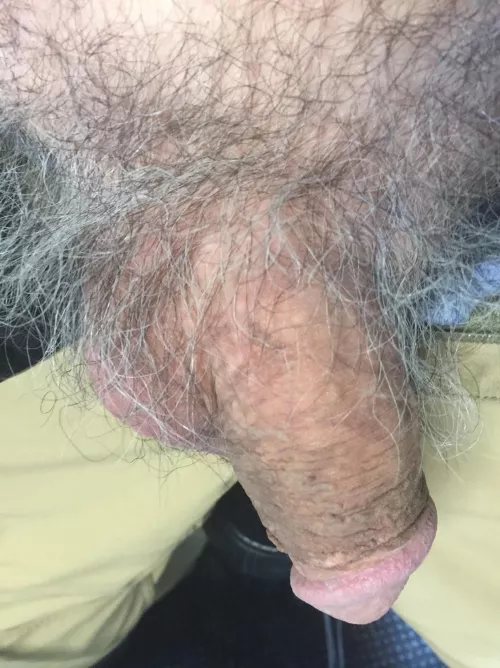 66 horny for hairy cocks; love gray pubes! Snap me at mikekrakow2; straight but like to jack hairy cocks