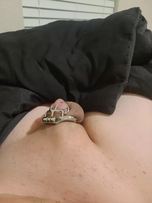 7 inches to this 🤤