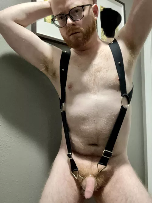 A bit of ginger hair everywhere.