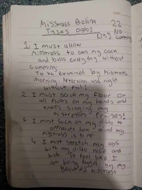 A diary of what It looks like in the day of a lucky slut belonging to Misstress Belina