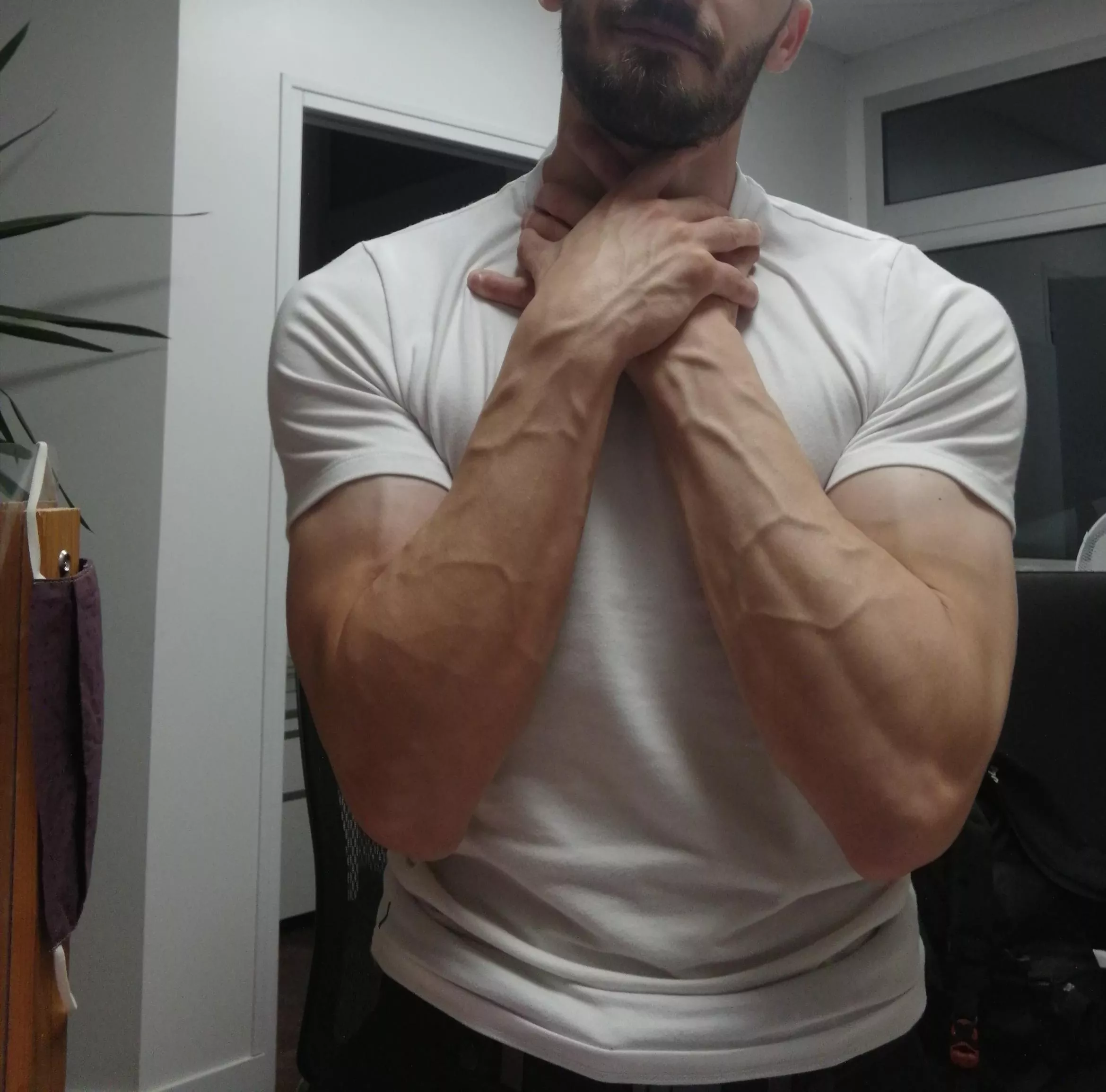 A little gift for you