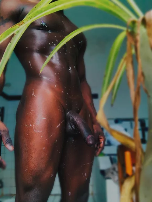 a little hard to spot the tattoos