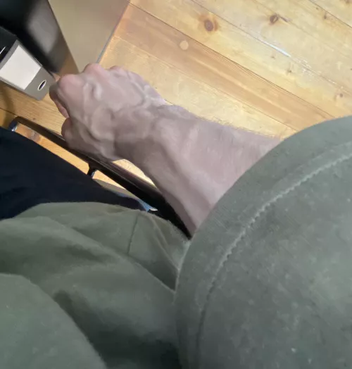 About to cut the lawn / (21)