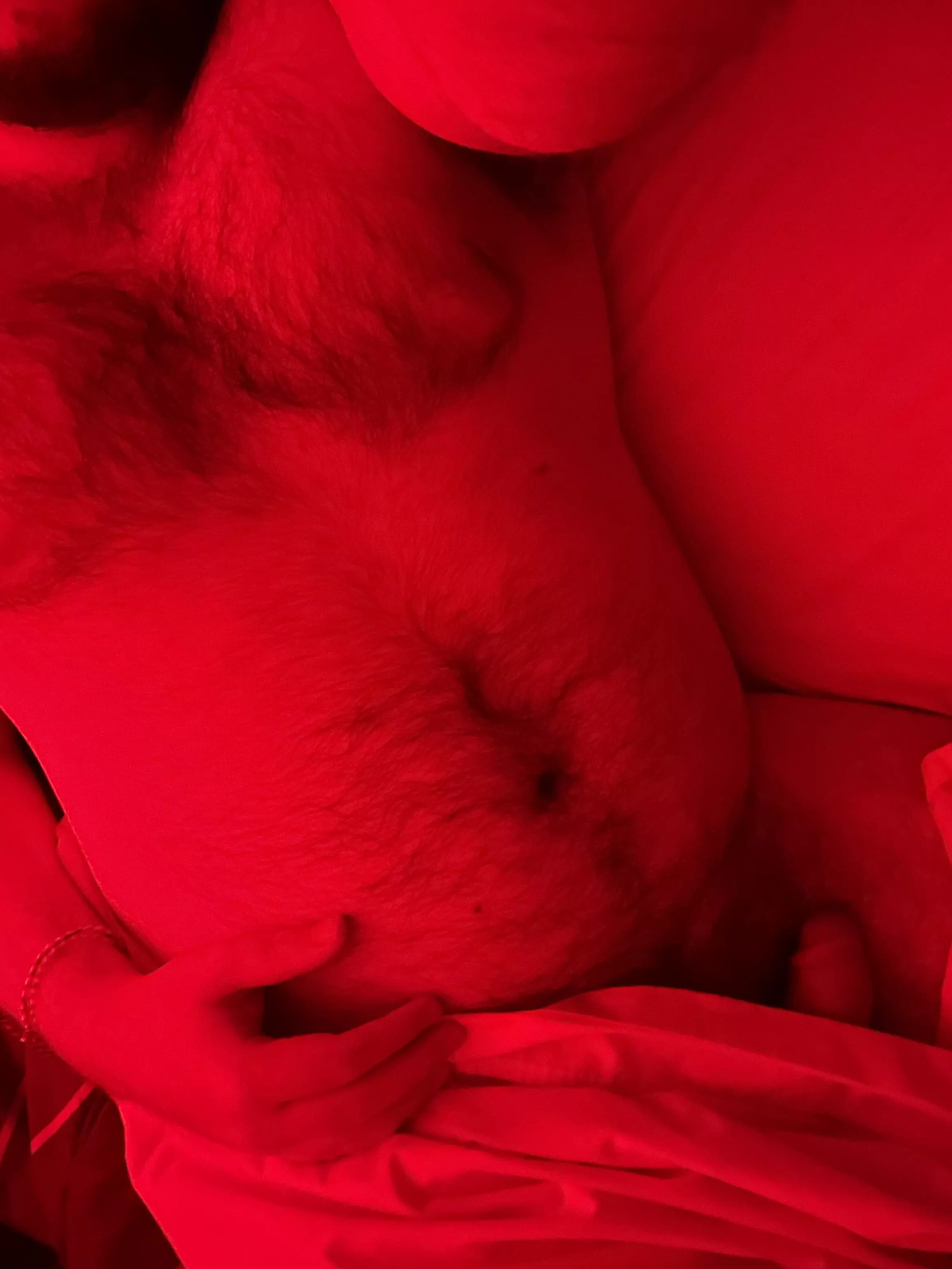 Adding more bearish body type to this sub :)