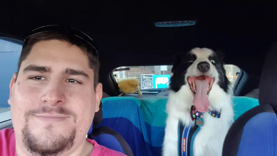 Advanced into the dirty 30s yesterday. Spent the arvo giving this dribbling floofball a much-needed groom at mum's 🙂