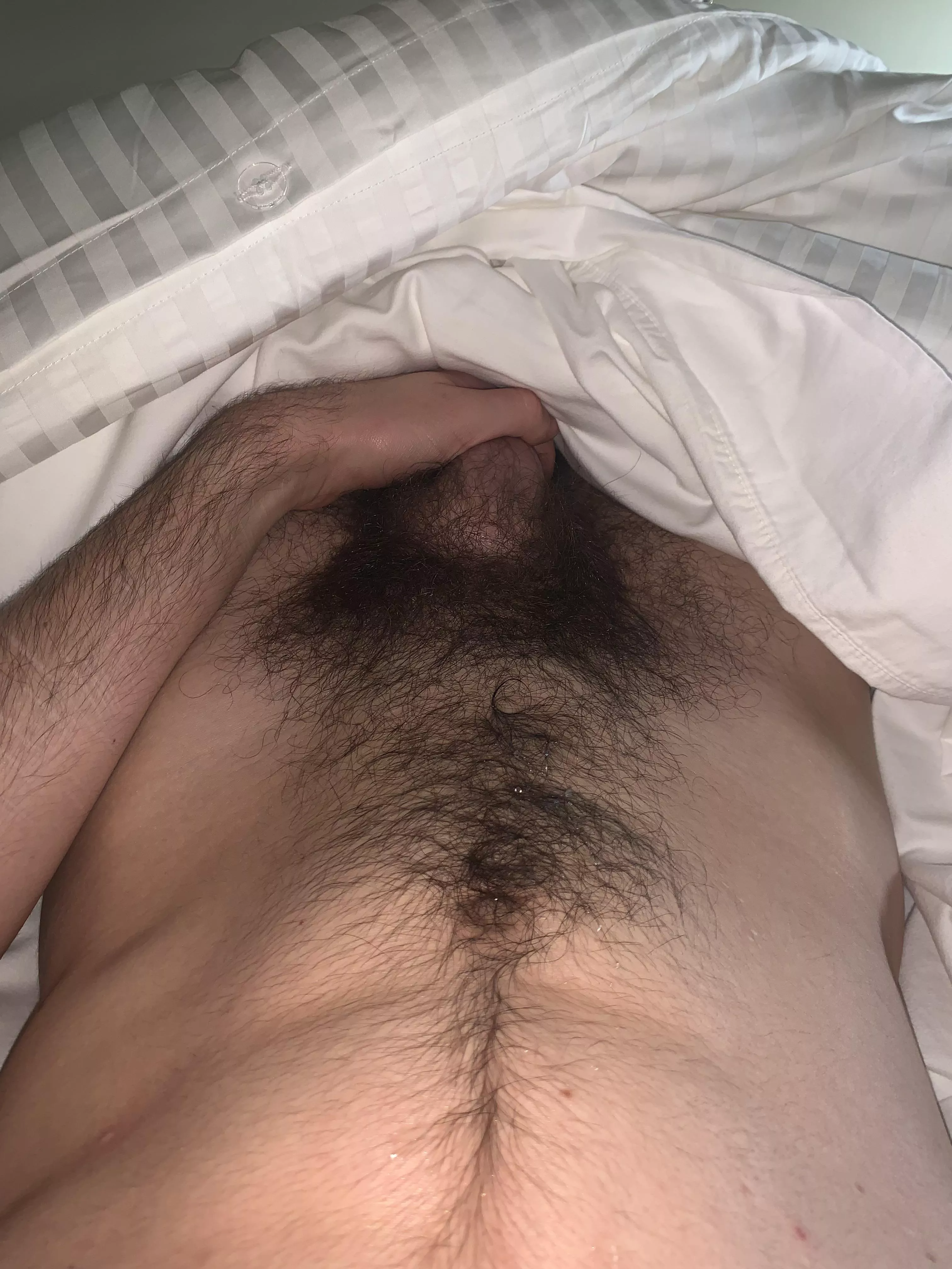 Afternoon nap and I thought my pubes looked nice