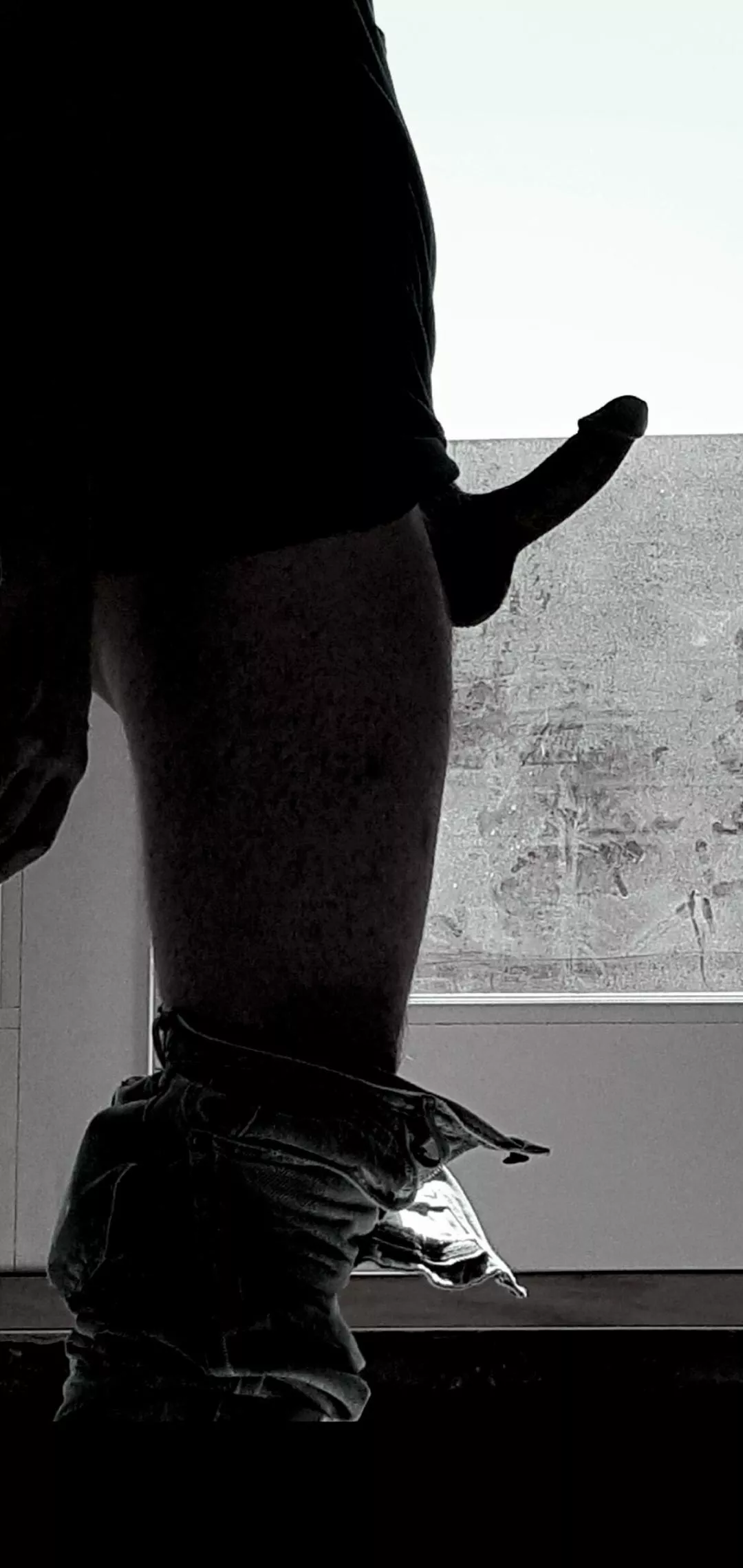 Afternoon window peek