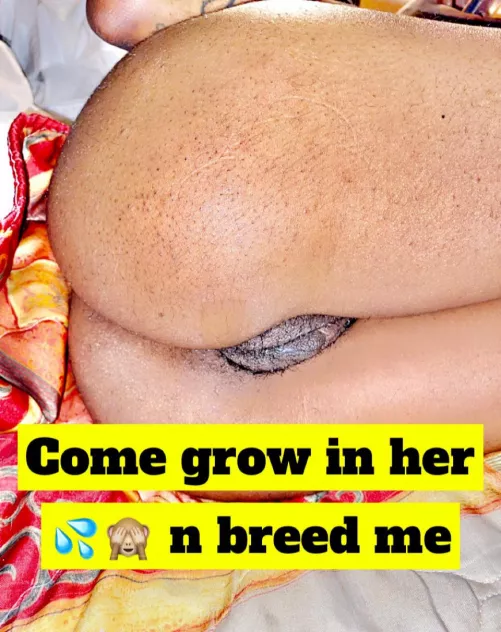 Alabama coon