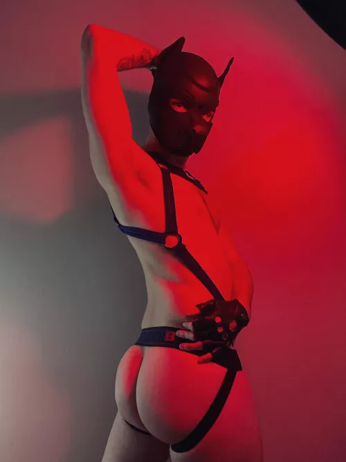 Allow me to introduce myself: I’m Dazzle. 🪩✨