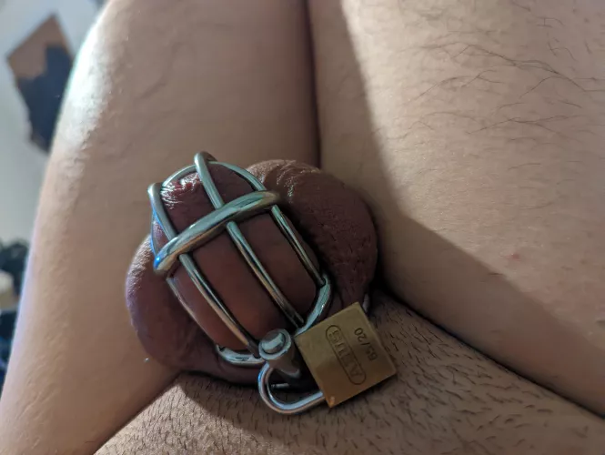 Almost got tempted to unlock, uploading will take my mind off.