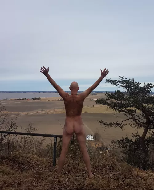 Almost springtime🌼