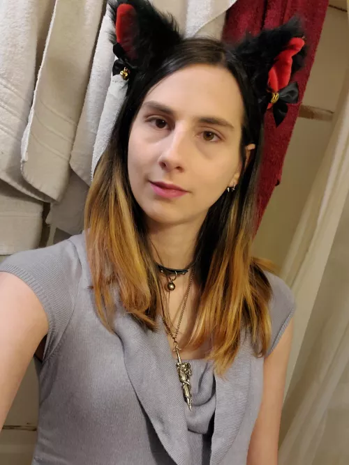 Am I a cute kitty? 🥰