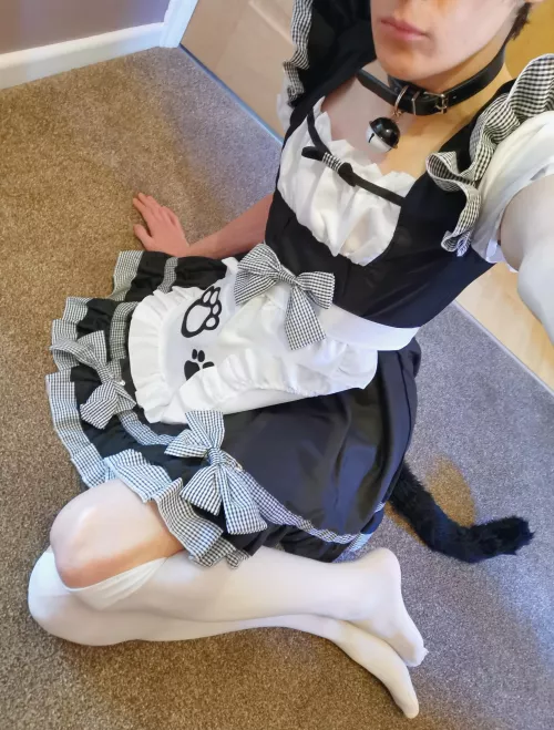 Am I a good kitten? 👉👈