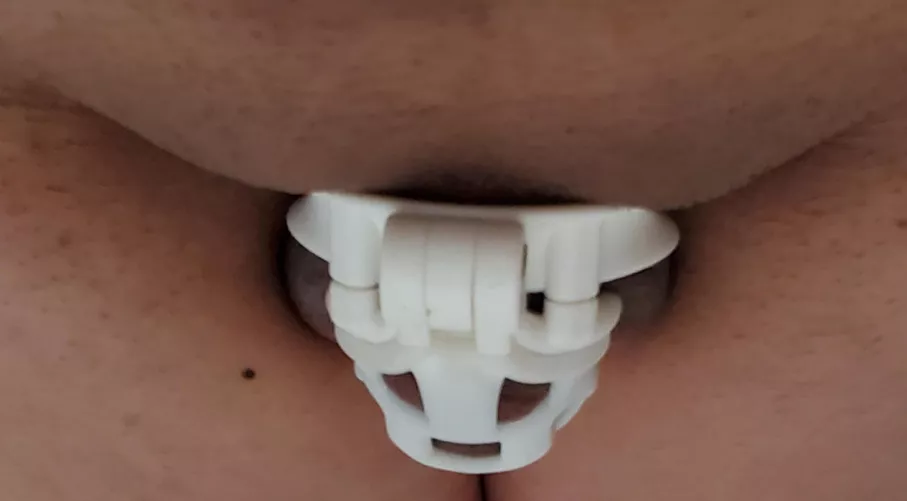 Am i belong here? for every like I will stay lock 1 more hour