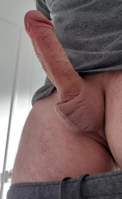 Am I big enough? Does it look good enough to taste?