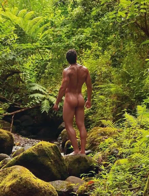 “Amongst the Ferns” …