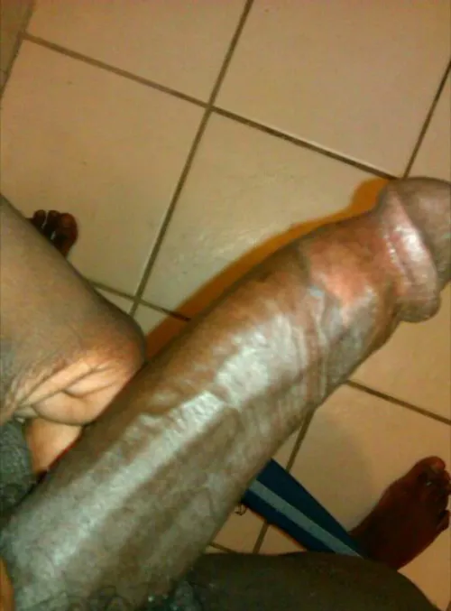 Another morning of this wood