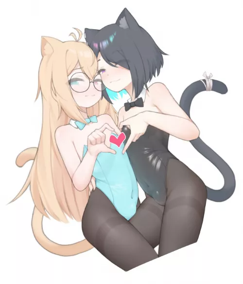 Any one want to adopt cats?