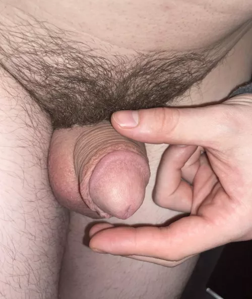 Any one want to compare? (23)