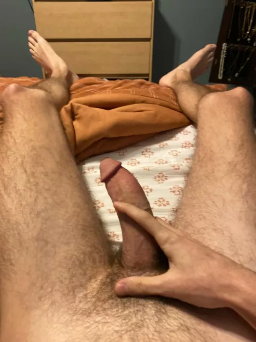 anybody want to rate my penis